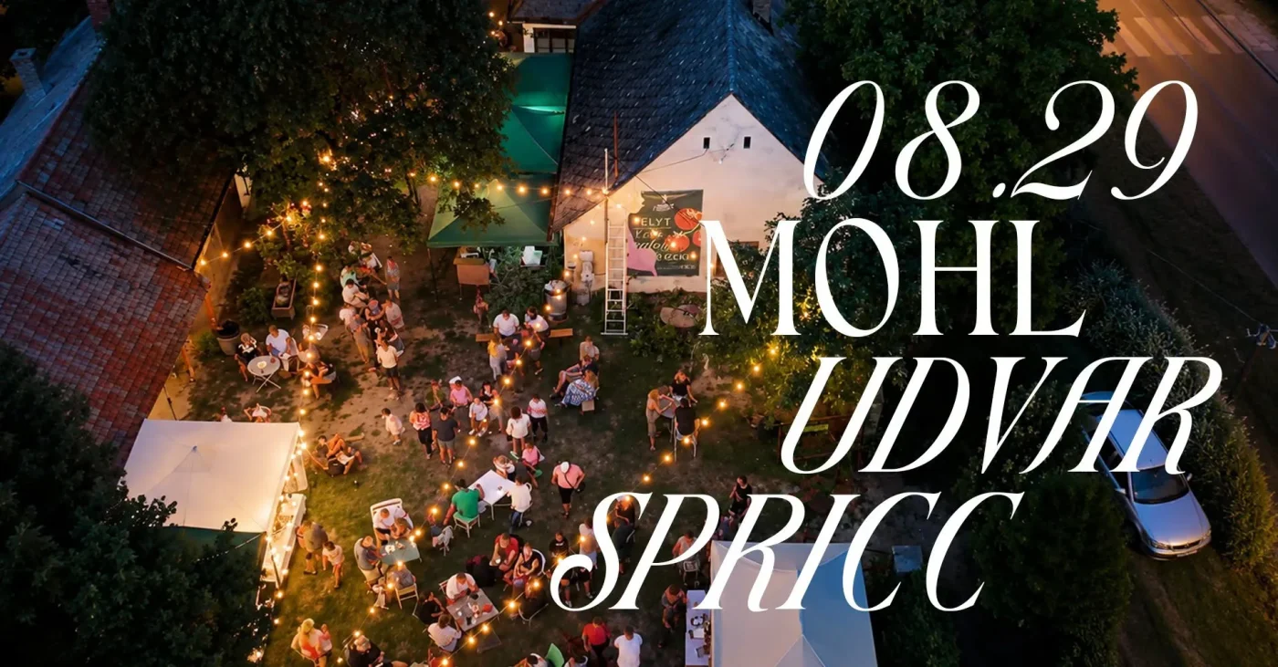 Mohl Udvar SPRICC – Nyárzáró