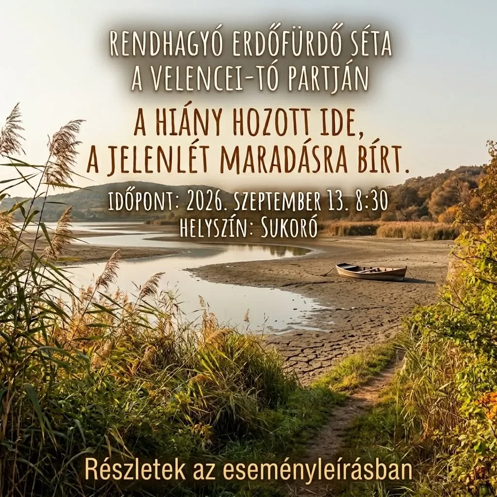 A tó nyomában - Erdő(nádas)fürdőséta